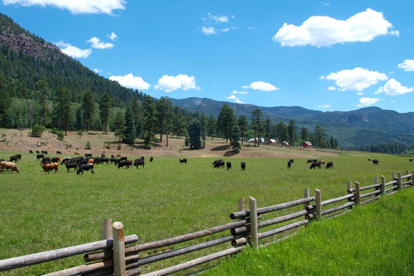 Seguro Rural